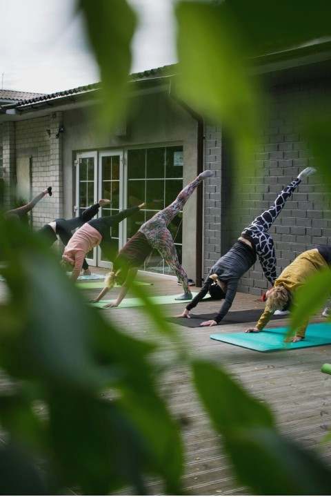 Yoga class in session